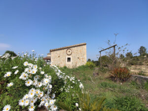 Finca zur Reform in San Juan Mallorca