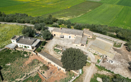 Finca rústica antigua sobre gran terreno Villfranca Mallorca