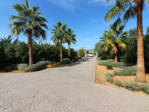 luxury finca for rent in Binissalem Majorca