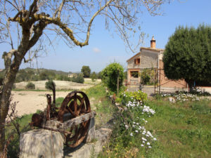 Rustikale Finca zum Reformieren in San Juan Mallorca