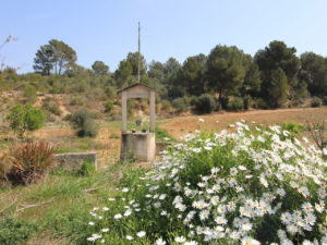 Rustikale Finca zum Reformieren in San Juan Mallorca