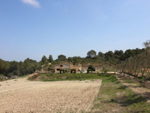 Rustikale Finca zum Reformieren in San Juan Mallorca