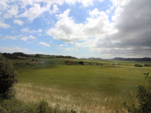 Baugrundstück zwischen Montuiri und Lloret Gemeinde Sant Joan Mallorca