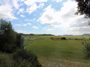 Baugrundstück zwischen Montuiri und Lloret Gemeinde Sant Joan Mallorca