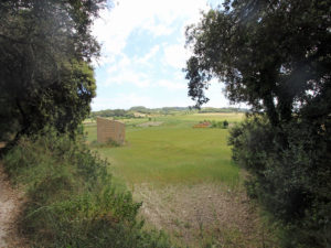 Baugrundstück zwischen Montuiri und Lloret Gemeinde Sant Joan Mallorca