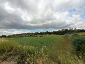 Plot in Sant Joan between Montuiri and Lloret in Majorca