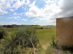 Baugrundstück zwischen Montuiri und Lloret Gemeinde Sant Joan Mallorca