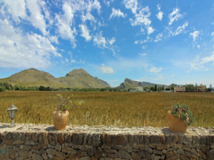 Finca mit Ferienvermietungslizenz bei Pollensa Mallorca