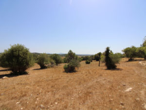 Plot with project in Petra Majorca