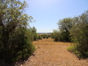 Plot with project in Petra Majorca