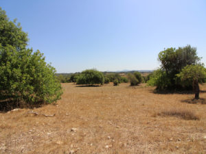 Plot with project in Petra Majorca