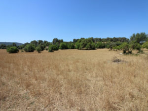 Plot with project in Petra Majorca