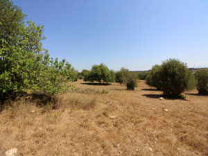 Plot with project in Petra Majorca