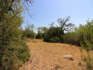 Plot with project in Petra Majorca