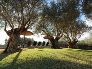 Finca with vacation rental license in Ariany Mallorca