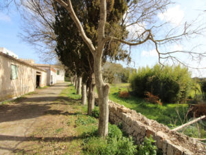 Historisches Anwesen in Mallorca Maria de la Salut Kauf Finca