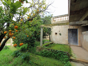 Historisches Anwesen in Mallorca Maria de la Salut Kauf Finca