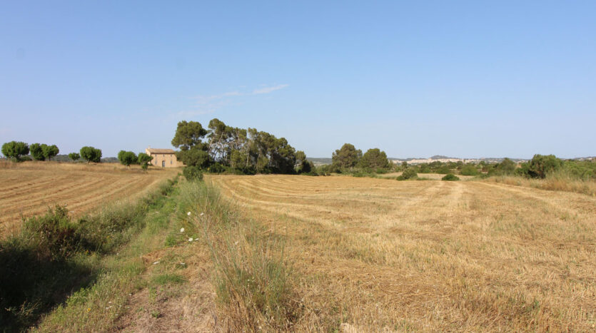 Solar con proyecto en Algaida Mallorca