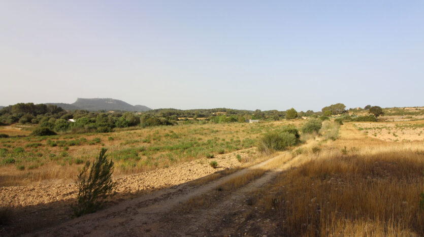 Solar con proyecto en Algaida Mallorca