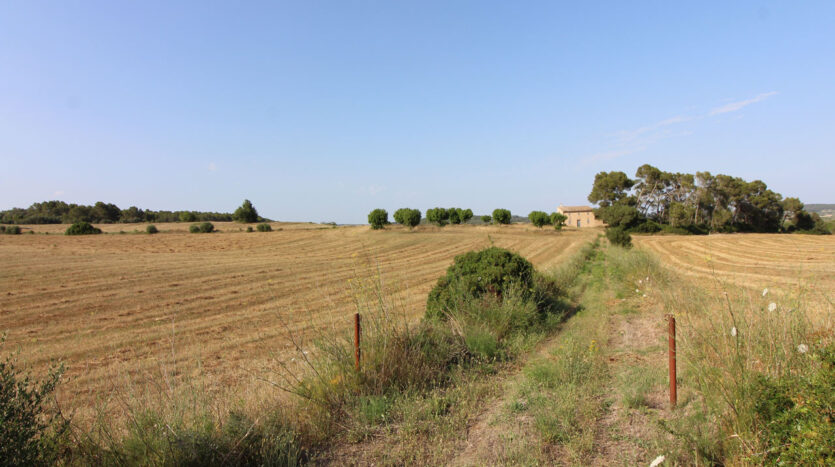 Solar con proyecto en Algaida Mallorca