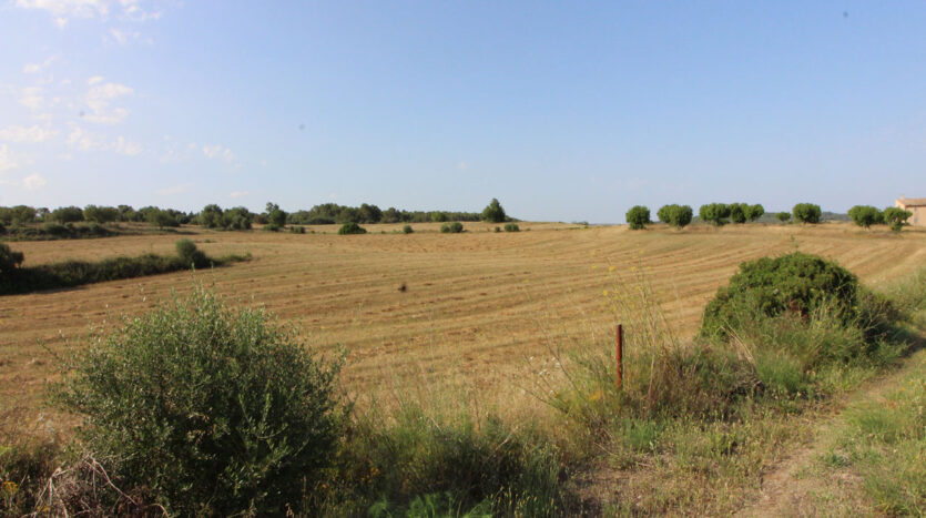 Solar con proyecto en Algaida Mallorca