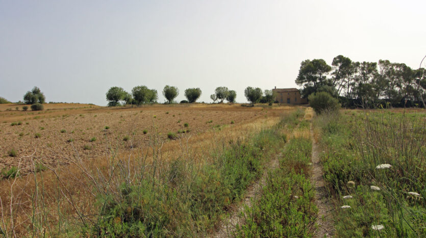 Solar con proyecto en Algaida Mallorca