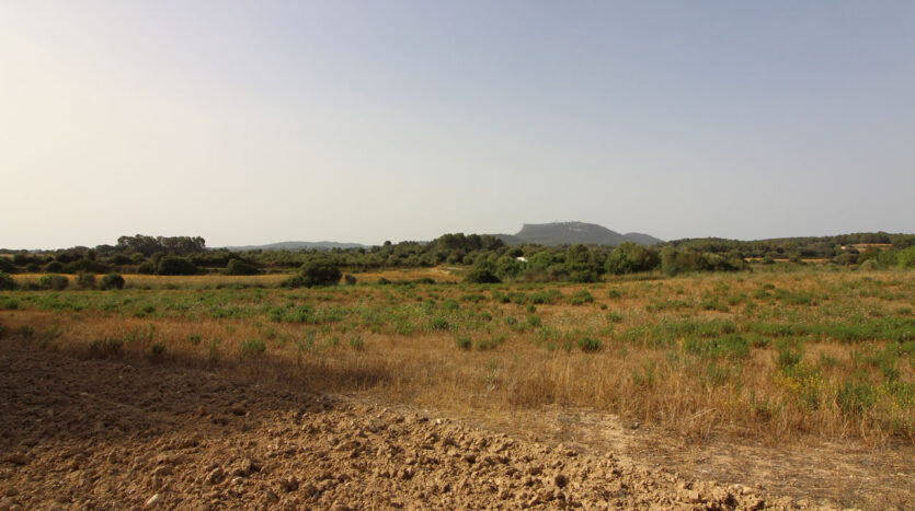 Solar con proyecto en Algaida Mallorca