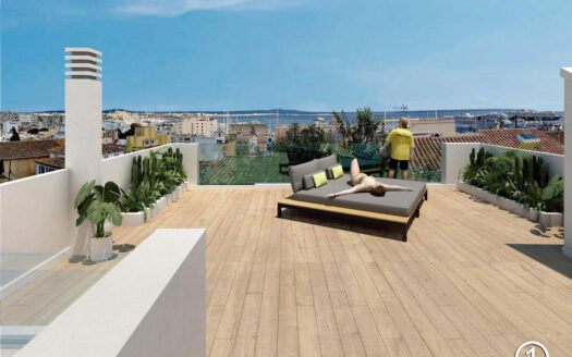 EL TERRENO PALMA REFORM WITH SEA VIEW SALE