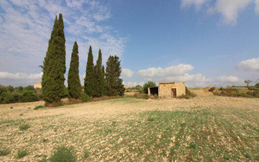 Building plot in near to Villfranca Mallorca for sale