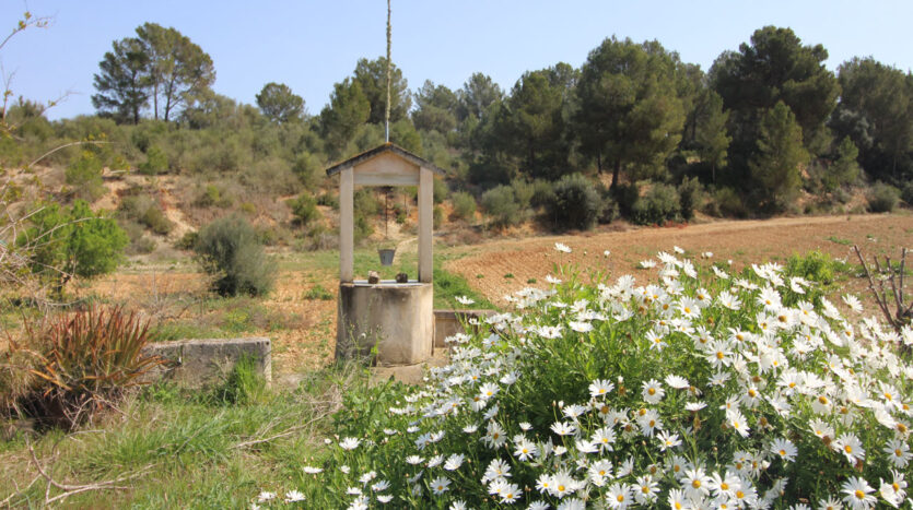 Finca reforma San Juan Mallorca venta