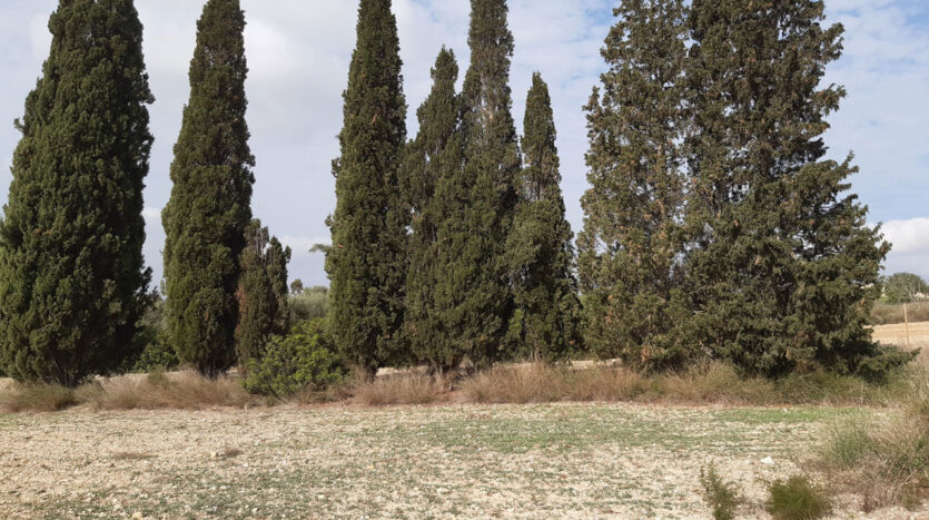 Building plot in near to Villfranca Mallorca for sale