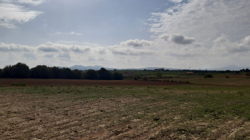 Building plot in near to Villfranca Mallorca for sale