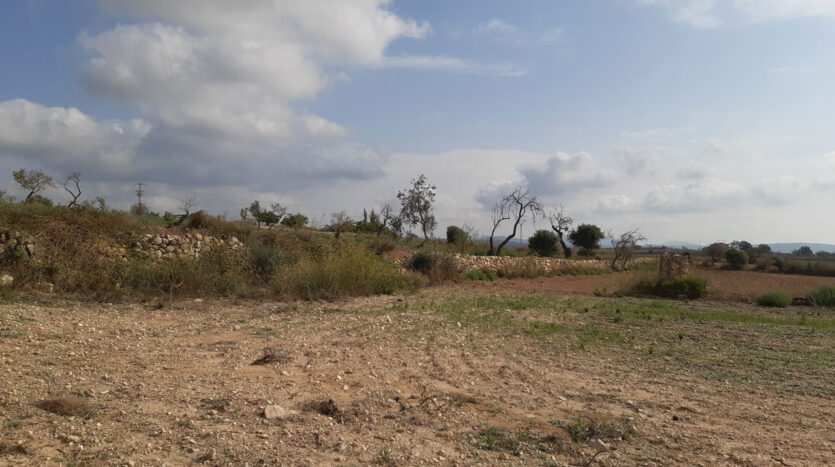 Building plot in near to Villfranca Mallorca for sale