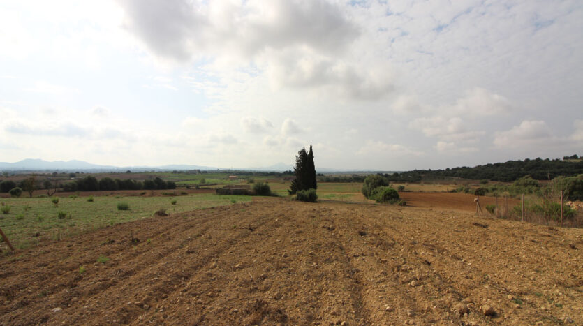 Building plot in near to Villfranca Mallorca for sale