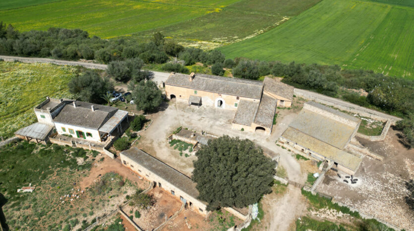 Alte rustikale Finca auf sehr großem Grundstück zur Reform in Villafranca Mallorca