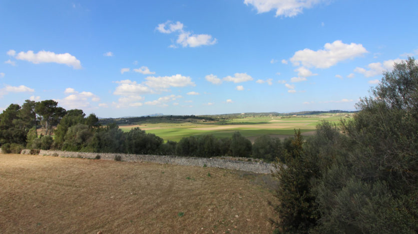 Alte rustikale Finca auf sehr großem Grundstück zur Reform in Villafranca Mallorca